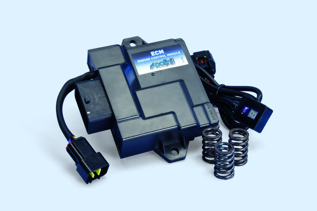 ECM Polini para Vespa y Liberty 50 Euro 5